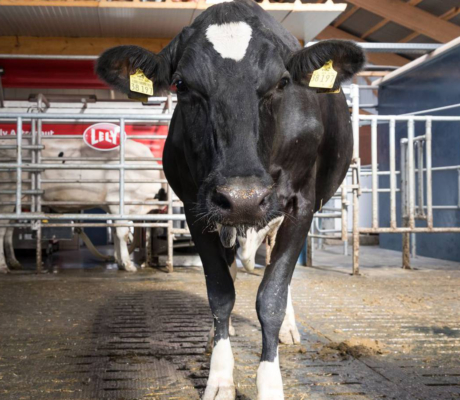 Fotogarantie-tool – Slimme kwaliteitsborging voor de Machinebouw